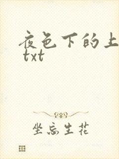 夜色下的上海滩 txt