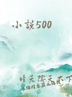 小说500