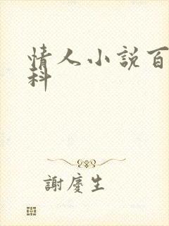 情人小说百度百科