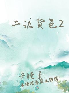二流货色2