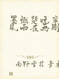 墨燃楚晚宁痴缠风雨夜无删减