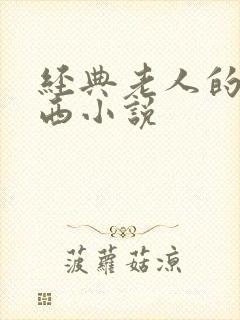 经典老人的大东西小说