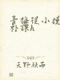 青梅从小摸到大补课h