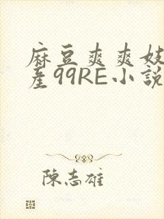 麻豆爽爽妓女国产99RE小说