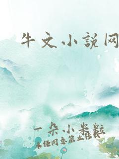 牛文小说网