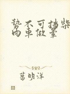 势不可挡柴鸡蛋肉车做晕