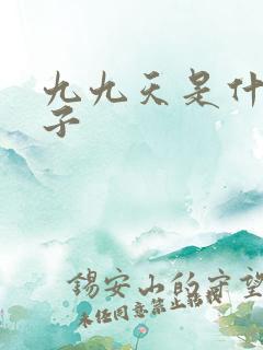 九九天是什么日子