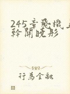 245章飞机上干关晓彤