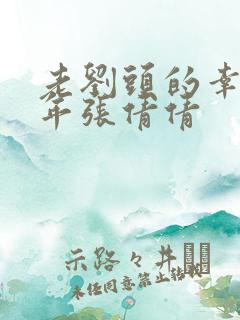 老刘头的幸福晚年张倩倩