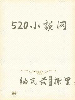 520小说网