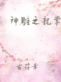 神雕之龙掌门
