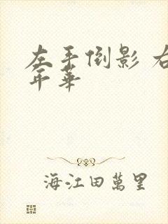 左手倒影 右手年华