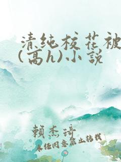 清纯校花被调教(高h)小说