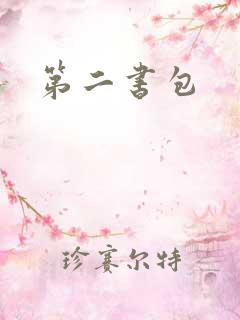 第二书包