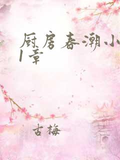 厨房春潮小说第1章