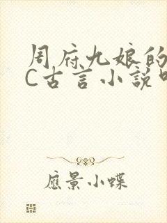 周府九娘的NPC古言小说叫什么