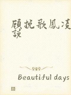 顾挽歌凤凌霄小说