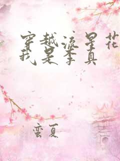 穿越流星花园之我是李真