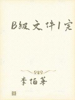 B级文件1完整