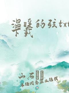 温暖的弦txt下载