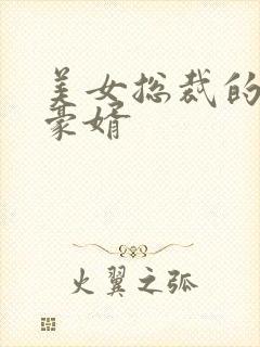 美女总裁的顶级豪婿