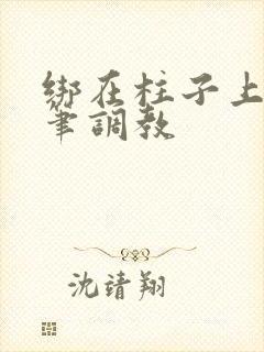 绑在柱子上用毛笔调教