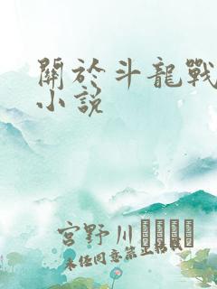 关于斗龙战士的小说