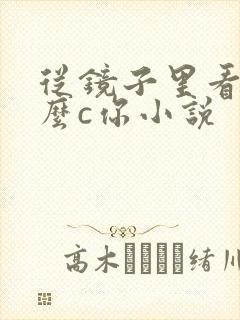 从镜子里看我怎么c你小说