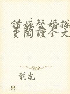 错嫁替婚总裁免费阅读全文