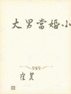 大男当婚小说