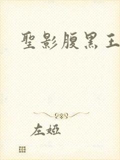 圣影腹黑王子帮