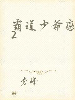 霸道少爷恋上我2