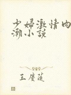 少妇激情肉欲高潮小说