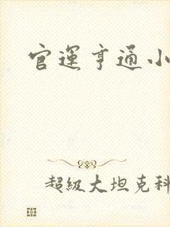 官运亨通小说