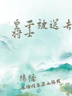 皇子被送去犒劳将士