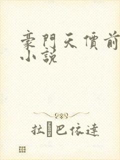 豪门天价前妻 小说