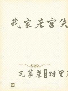 我家老宫失忆了