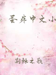 蛋疼中文小说网