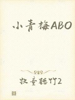 小青梅ABO