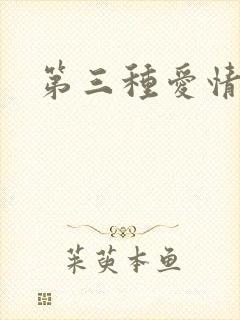 第三种爱情续集
