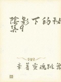阴影下的秘密全集9