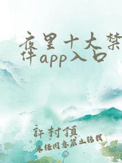 夜里十大禁用软件app入口