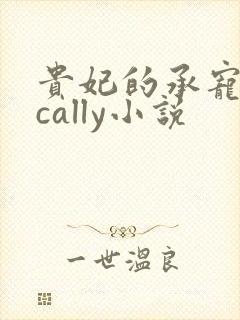 贵妃的承宠日常cally小说