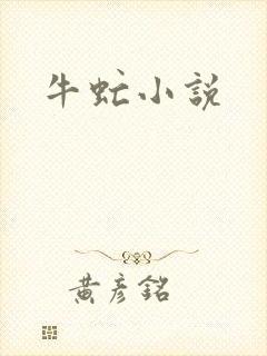 牛虻小说