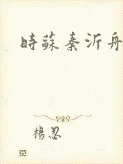 时苏秦沂舟小说