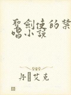 圣剑使的禁咒咏唱小说