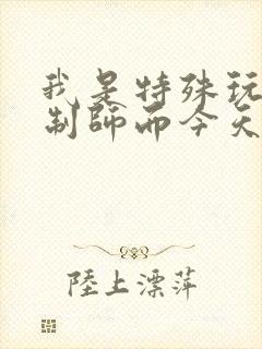 我是特殊玩具定制师而今天的客户