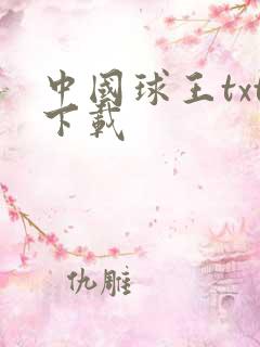 中国球王txt下载