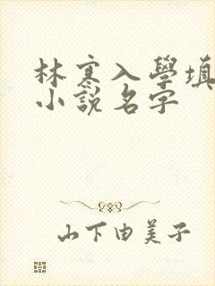 林寒入学填未婚小说名字