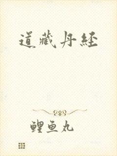 道藏丹经